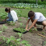 Аграрната гимназия в Добрич връща младите към поминъка с две нови специалности