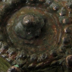 Гласуваме за пръстена-убиец от Калиакра в класацията „Чудесата на България”