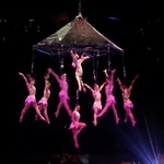 Кошмарен инцидент в САЩ едва не уби циркова артистка от Добрич (видео)