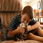 Котка спаси 4-годишно момченце от разкъсване от куче