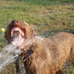 Къде спират водоподаването във вторник 