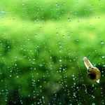 Лек спад на температурите с облачна и дъждовжа сряда в Добрич 