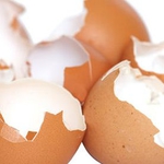 Намериха половин тон мухлясали яйца в магазин в Добрич