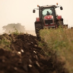 Преброиха повече засяти масиви с царевица и слънчоглед в Добричко от 2013 г. 