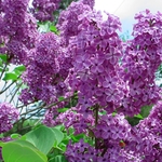 Променлива облачност и 21°С в Добрич във вторник