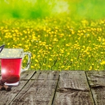 Седмицата в Добрич започва със слънчева сутрин и мрачен следобед