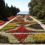 Шефът на ботаническите градини у нас прави чистка в балчишката