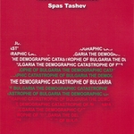 Шефът на музея в Добрич представя в Брюксел книгата си за българския колапс