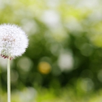 Слънце огрява Добрич след снощния порой