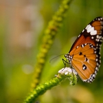 Слънцето в Добрич се скрива следобед, но остава топло