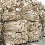 Със „сливи за смет” ще бъдат наградени ученици от кмета на Добрич 