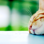 Тренираме за летните жеги. Градусите в Добрич скачат до 22°С още в понеделник