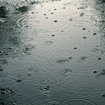 За вас шофьори: Мокри и хлъзгави са пътните настилки в Добрич и областта