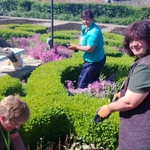 Започна лятното зацветяване на Ботаническата градина в Балчи