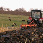 Цената на земята в Добруджа и рентите рекордно високи