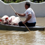 Да се заостри бдителността относно евентуални зарази и заболявания, апелира губернаторъ на Добрич