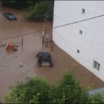 Добричлия успява да излезе от водния капан ( ВИДЕО )