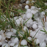 Градушката и пороите са унищожили хиляди декари от реколтата в Добричко