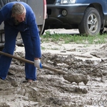 Община Добрич се нуждае спешно от доброволци 