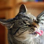 Районът на Хуманитарна гимназия остава без вода в четвъртък