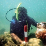 Шабла ще връща „стара слава” със стари атракции за туристи