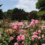 Слънчев и топъл четвъртък в Добрич