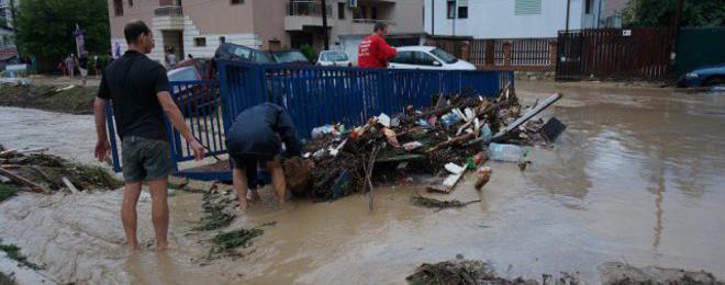 Хвърлили на екарисажа 840 кг удавени животни след потопа в Добрич