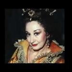 Библиотеката в Добрич посвети изложба на 65-годишнина от рождението на оперната прима Нели Божкова