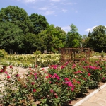 Кметът на Добрич подписа анекс към договора по проектa за реконструкцията на парка „Свети Георги“ 