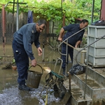 Потопът в Добрич нанесъл щети по 738 жилища