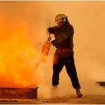 Забраниха пикниците и лагерите в горите край Добрич