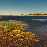 Иззета е 100 метра бракониерска мрежа и винтери от езеро „Шабла“