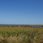 Иззети са незаконни риболовни уреди от езеро „Дуранкулак“