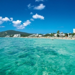 От днес "АЛБЕНА"  АД започва изплащането на полагащите се дивиденти