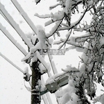 Екипи от Добрич, Варна и Шумен помагат в Габрово за възстановяване на електрозахранването