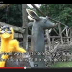 Жълт косматко популяризира оперативните програми в Добрич