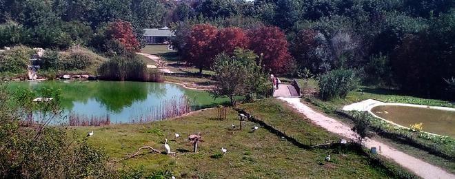 Зоопаркът в Добрич (или Център за защита на природата и животните в Добрич)