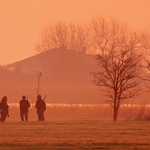 Новият ловен сезон започва със стари нарушения в "Дуранкулашко езеро"