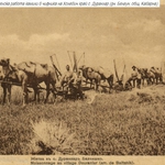 Те победиха