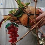 Добруджанци и варненци си мерят вината