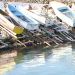 Близо 800 хиляди лева са изплатени авансово в рибарския сектор 