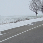 Пътната обстановка в област Добрич