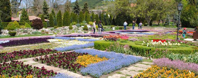 Приключили са основните дейности по зацветяването в Ботаническата градина в Балчик