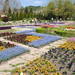 Приключили са основните дейности по зацветяването в Ботаническата градина в Балчик