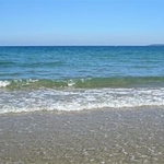 Търгове с тайно наддаване за отдаване под наем на морски плажове в областта