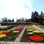 УСЕЩАНЕ ЗА СВЕЖЕСТ И КРАСОТА В БОТАНИЧЕСКА ГРАДИНА – БАЛЧИК