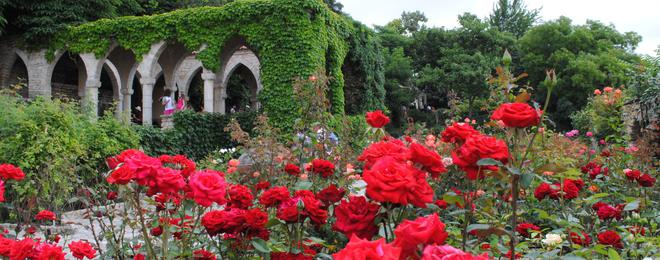 Парад на розите в Ботаническа градина - Балчик