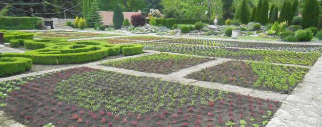 Започна кампанията за лятно зацветяване в Ботаническата градина