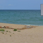 "Техно-Инвест" ЕООД спечели търга за отдаване под наем на плаж "СБА"