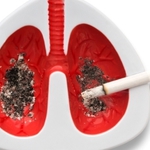 31  май  -  Световен  ден  без  тютюн